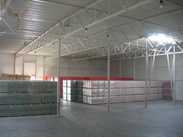 Magazyn na sprzedaż Kórnik 14 500m2 Foto 5