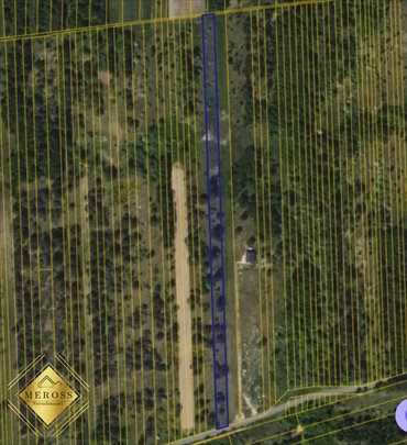 Działka leśna 5250 m² przy głównej drodze - zapraszam działka Kusięta, Kusięta Małe