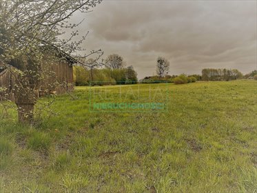 działka na sprzedaż 25000m2 działka Budy Zosine