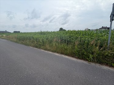 Działki budowlane w Wojciechówce, media, blisko Kalisza działka Żelazków, Wojciechówka