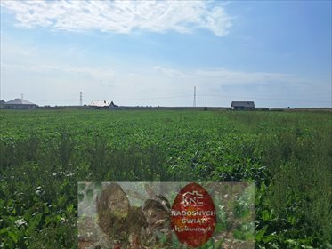 działka na sprzedaż 1594m2 działka Turowola-Kolonia