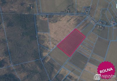 Działka rolna z 20 000 świerków, ogrodzona, 39 800 m² zapraszam działka Trzechel