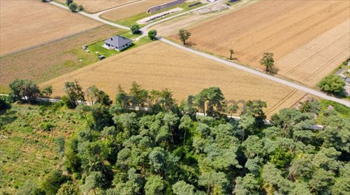 Działka z lasem i warunkami zabudowy - idealna pod dom. działka Zamysłowo