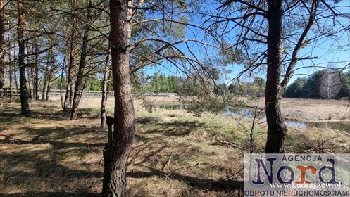 działka na sprzedaż 1589m2 działka Gorczyca