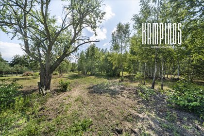 działka na sprzedaż 3001m2 działka Wojcieszyn