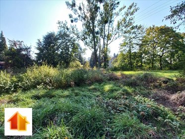 działka na sprzedaż 4580m2 działka Pszczyna (gw), Robotnicza