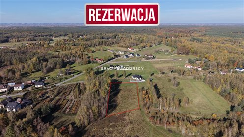 Do sprzedania działka 44 arów z lasem w Buczkowie działka Buczków