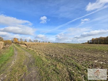 działka na sprzedaż 130500m2 działka Czarne Małe, Czarne Małe