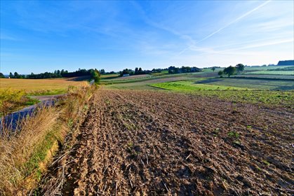 Działka 53 ar z warunkami zabudowy, blisko Nałęczowa działka Maszki