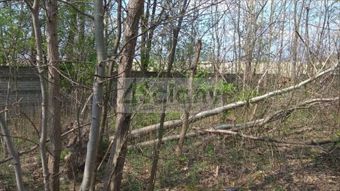 Działka 1759 m² z mediami i dojazdem asfaltowym - polecam! działka Kobyłka