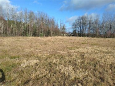 działka na sprzedaż 25000m2 działka Koniecpol