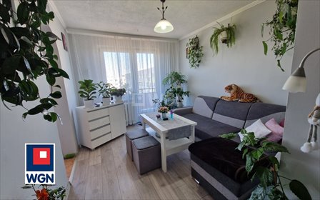 mieszkanie na sprzedaż 63m2 mieszkanie Trzebień, Leśna