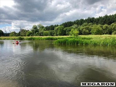 Działka rolna na sprzedaż Załęcze Małe 3 068m2 Foto 2