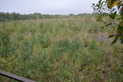 działka na sprzedaż 169761m2 działka Zgierz, Pieńki