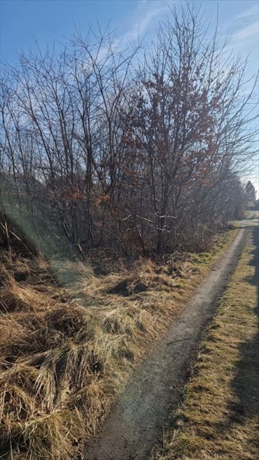 działka na sprzedaż 3784m2 działka Rzeszów, Przybyszówka, Krakowska