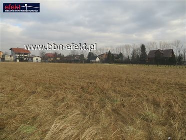 Działka budowlana na sprzedaż Bujaków 3 633m2 Foto 6
