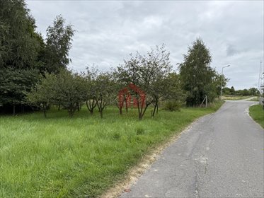 Polecam działkę 3500 m² z zagajnikiem w Woliczce działka Woliczka