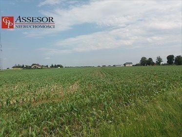 działka na sprzedaż 20204m2 działka Kalisz, Zagorzynek