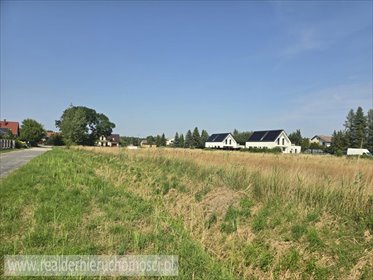 Działki budowlane w Płotach (869 m², media, spokojne osiedle) działka Płoty