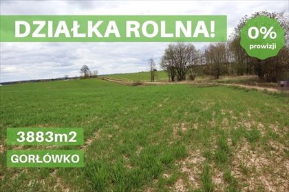 Działka rolna na sprzedaż Gorłówko 3 883m2 Foto 1