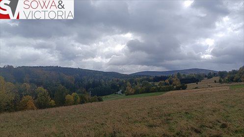 Działka 1789 m² w Walimiu (blisko Wielkiej Sowy) działka Walim