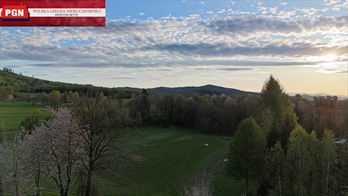 działka na sprzedaż 11600m2 działka Radochów