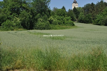 działka na sprzedaż 4719m2 działka Brzezie