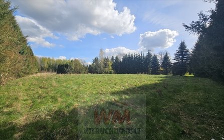 Inwestycyjna działka z domem i oczkiem wodnym działka Pniewy