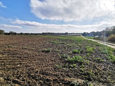 Działka 21 arów z warunkami zabudowy, blisko miasta działka Sietesz