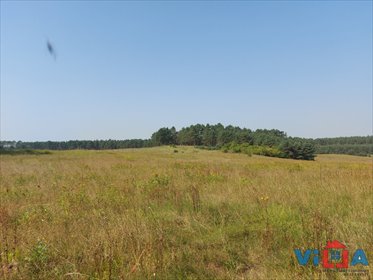 Działka inwestycyjna 13 100 m² pod zabudowę produkcyjną działka Droszków