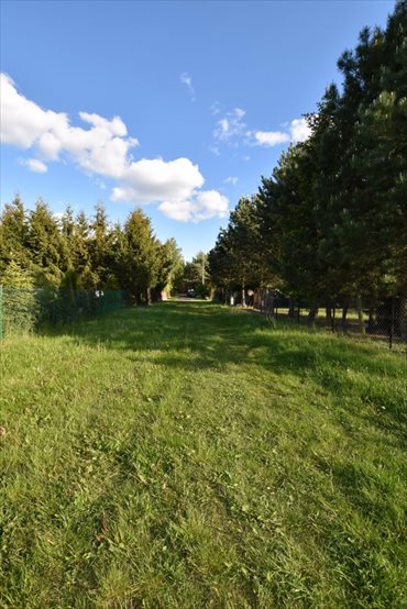 Działka rekreacyjna na sprzedaż Ostrowsko 982m2 Foto 1