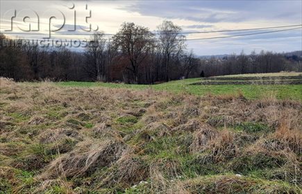 Działka budowlana na sprzedaż Łyczanka 2 600m2 Foto 1
