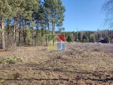 działka na sprzedaż 19572m2 działka Nowy Duninów