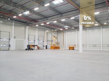Na wynajem magazyn 752 m² z biurem, dokami i ochroną magazyn Opacz-Kolonia