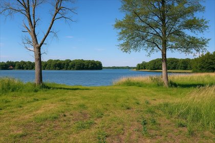 działka na sprzedaż 3653m2 działka Kórnik