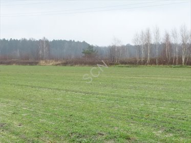 działka na sprzedaż 5900m2 działka Dziecinów