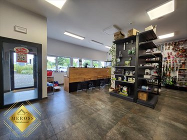 lokal użytkowy na wynajem 300m2 lokal użytkowy Marianka Rędzińska