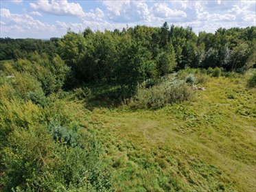 Działka budowlano-leśna z warunkami zabudowy (1211 m²) działka Leśno, Modra