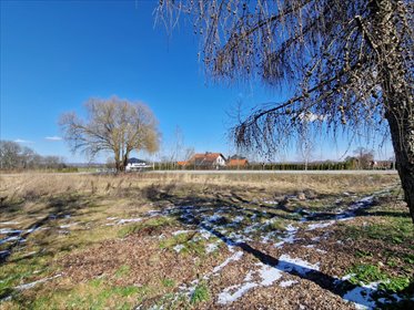 Działka budowlana na sprzedaż Mikołów, Paniowy, Mokierska 1 047m2 Foto 4