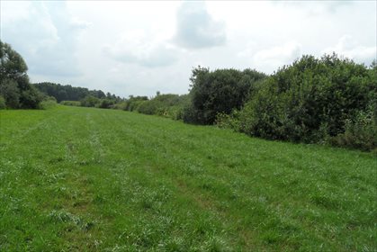 Działka inna na sprzedaż Dalewo 7 722m2 Foto 6