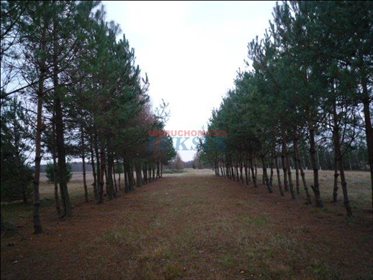 Działka budowlana pod dzierżawę Biały Ług, Biały Ług 12 300m2 Foto 7