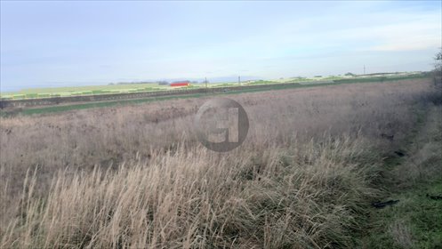 Sprzedam działkę 4420 m² z możliwością podziału w Karninie działka Karnin