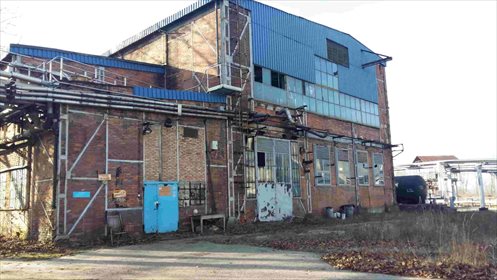 lokal użytkowy na sprzedaż 901m2 lokal użytkowy Zabrze, Zaborze, Alojzego Pawliczka