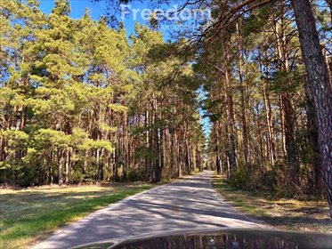 Sprzedam działkę 4239 m² z lasem i dostępem do natury działka Kalinowo