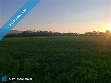 działka na sprzedaż 3000m2 działka Gorzanów