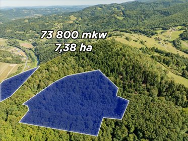 Działka leśna 73 800 m² w Młynnem, polecam! działka Młynne