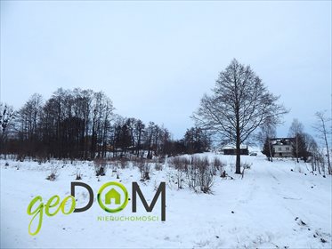 Działka budowlana na sprzedaż Józefin k. Nowosiółek 3 100m2 Foto 3