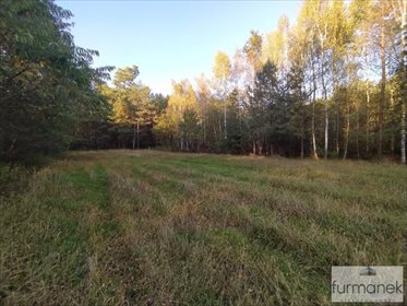 Działka inna na sprzedaż Lipiny Górne-Borowina 16 337m2 Foto 1