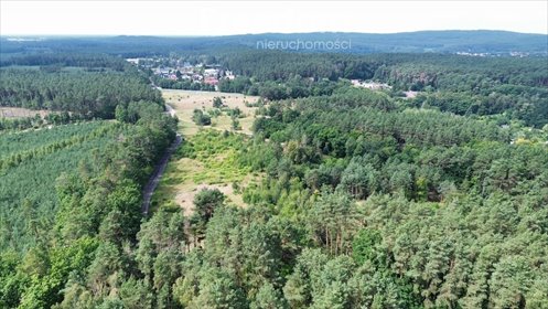 Działka 1194 m² w Chodzieży, blisko lasu - polecam! działka Chodzież