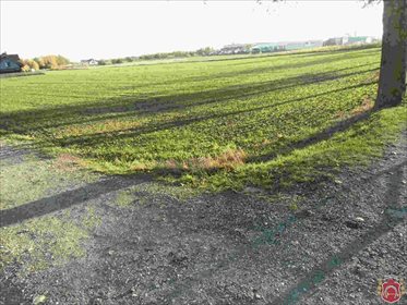 działka na sprzedaż 14700m2 działka Tuchom, Gdyńska